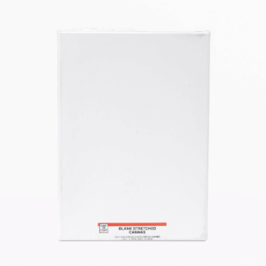 CX Canson Photo Matte Paper 200 GSM A4/100 Folhas - 216